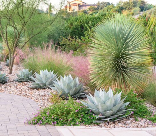 LANDSCAPING Gallery Image